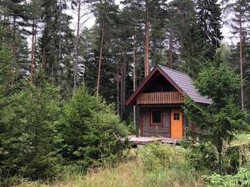 Фото номера Дом с 1 спальней Дома для отпуска Veela Metsamaja г. Ноароотси 40